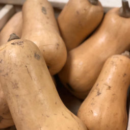 Courge butternut bio chez Annagram épicerie vrac, magasin bio situé au Mans