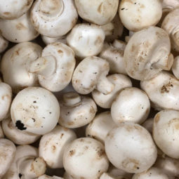 Champignons blancs bio chez Annagram épicerie vrac, magasin bio situé au Mans