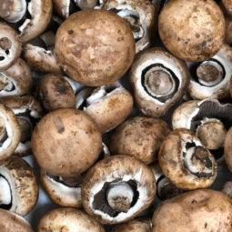 Champignons bruns bio chez Annagram épicerie vrac, magasin bio situé au Mans