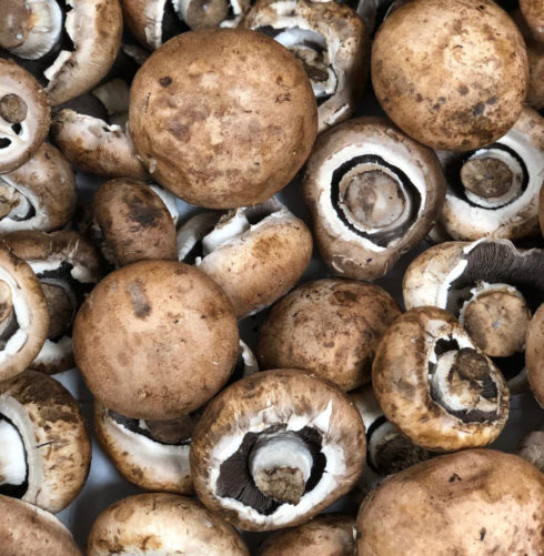 Champignons bruns bio chez Annagram épicerie vrac, magasin bio situé au Mans