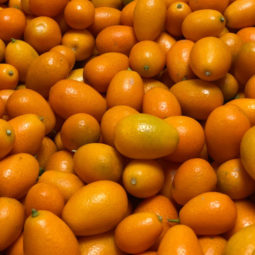 Kumquats bio chez Annagram épicerie vrac, magasin bio situé au Mans