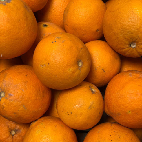 Oranges bio chez Annagram épicerie vrac, magasin bio situé au Mans