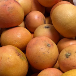 Pomelos bio chez Annagram épicerie vrac, magasin bio situé au Mans