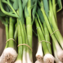 Aillet bio chez Annagram épicerie vrac, magasin bio situé au Mans